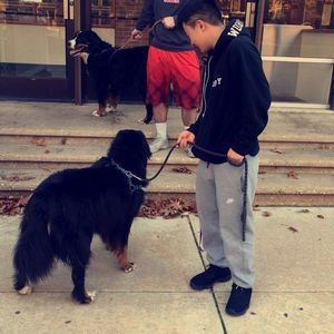 Meet your Posher, Danny